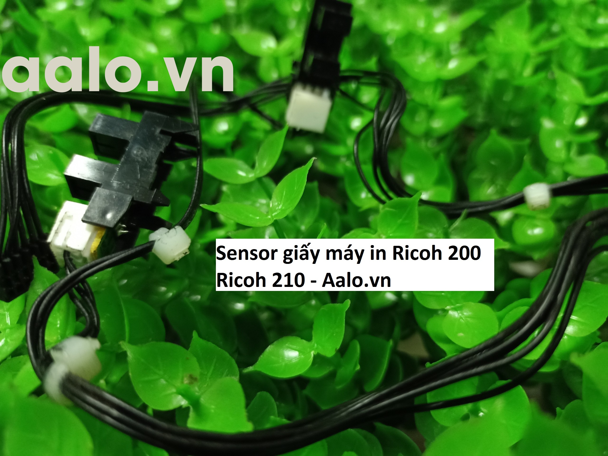 Sensor giấy máy in Ricoh 200 Ricoh 210